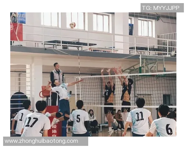 赛后复盘：成都排球队 vs 上海排球队的耐力