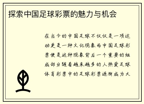 探索中国足球彩票的魅力与机会