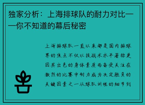 独家分析：上海排球队的耐力对比——你不知道的幕后秘密