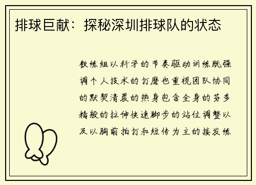 排球巨献：探秘深圳排球队的状态